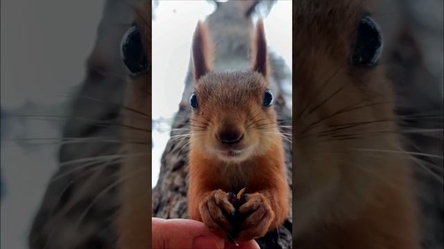 Быстрый завтрак
