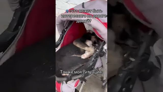 небольшая лялька🤣😅🤣