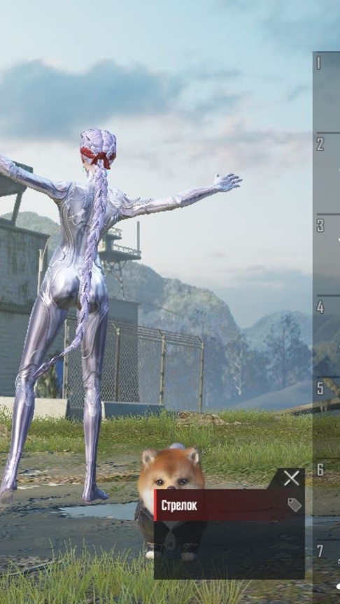 scene_output.mp4