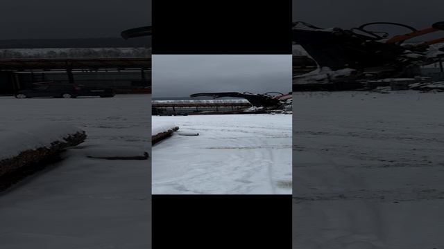 Работа МТЗ 82 с бревнозахватом