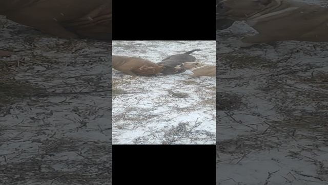1000202140.mp4