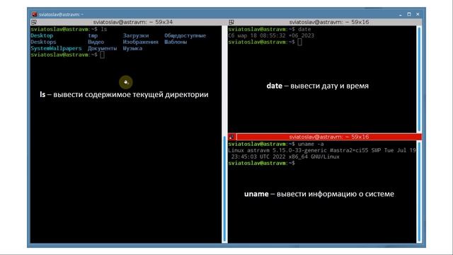 Первое знакомство с bash: переменные оболочки и среды, cd, ls, cat, echo, ps, touch