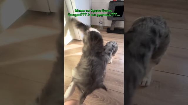 Хотел выходные испортить))