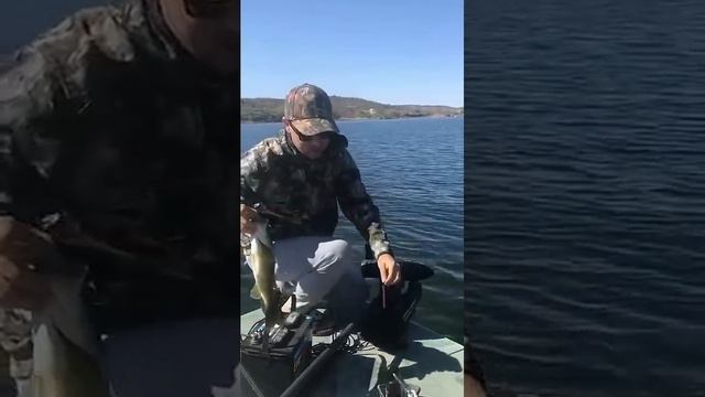 The end 😂😂😂 #viral #shorts #fails #funny #mmvfunny