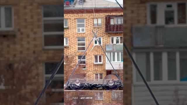 Организовали себе приятное развлечение не выходя из дома