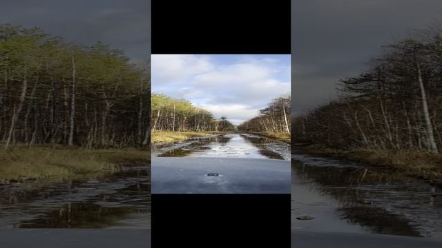 Дороги Толвоярви