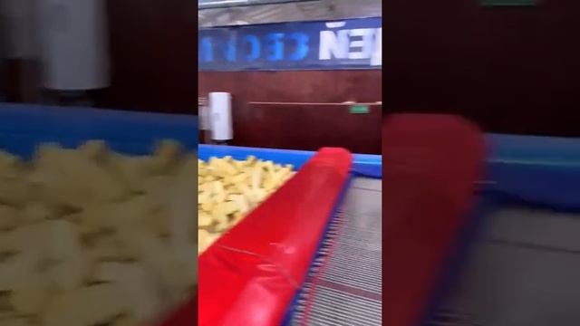 Who won?