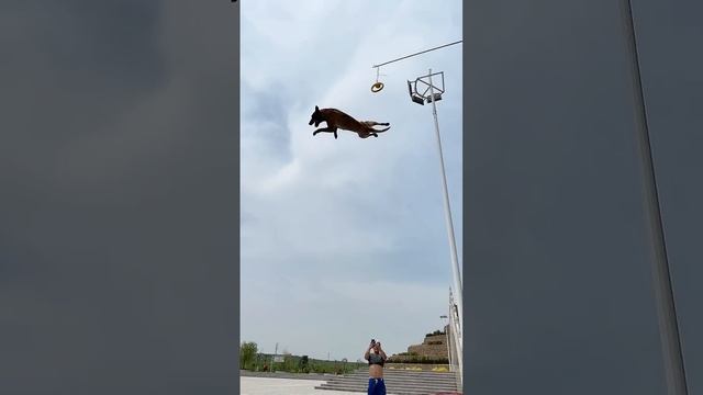 Молодец!Отлично! Чутка не хватило