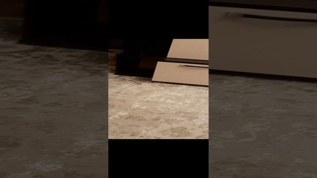 20241116_230325.mp4