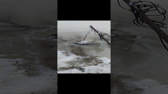 воздух рыбам
