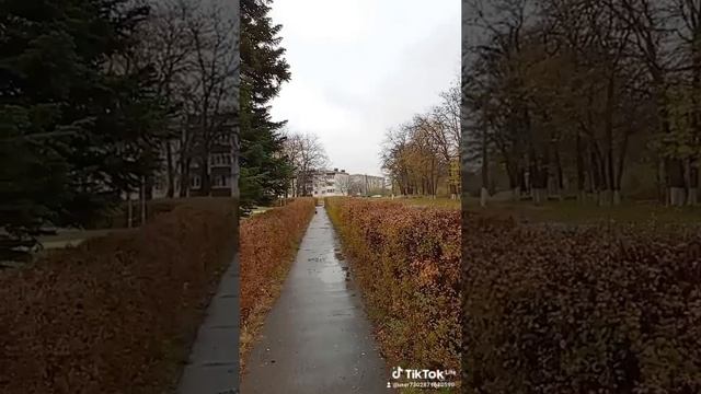 1000050049.mp4