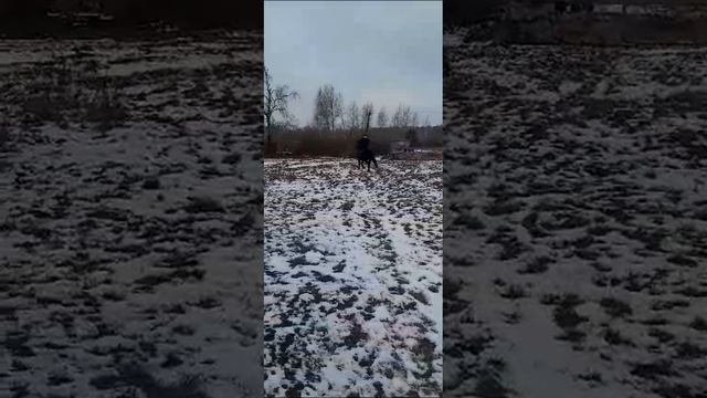 1000026245.mp4