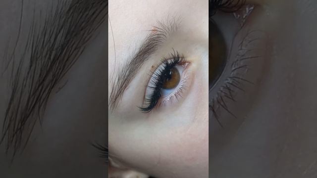 1000100393.mp4