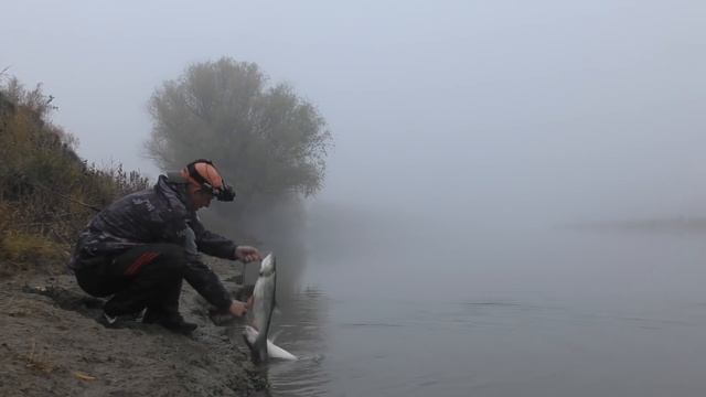 Неожиданное начало Трофей на первых минутах Осенняя рыбалка в Астрахани 2021 Ловля жереха и судака