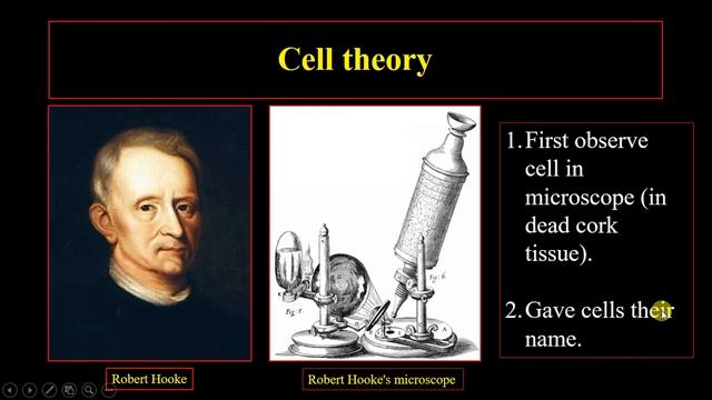 introduction to molecular biology