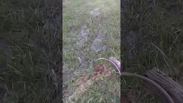 Скважина Костерево Владимирская Область