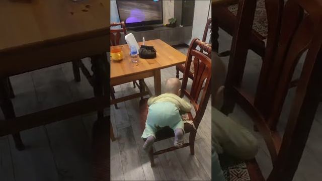 VID-20241114-WA0005.mp4