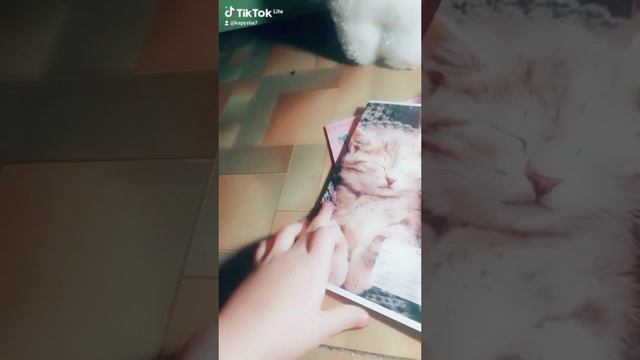 Мики новая канцелярия