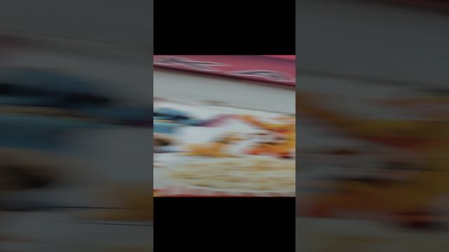 я гуляю парке победы