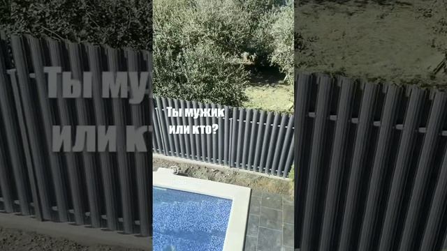 🌟 Ты мужик или кто? Хватит показывать рилсы — покажи дом, который ты построил! 🔨🏡