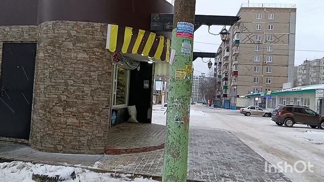 15:10:2024г.медовик.прогулка, ручные голуби.