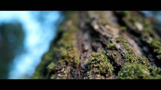 "Бэйет" башкирская песня Лилия Ягуда-Сафар