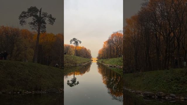 The Magical Autumn Canal