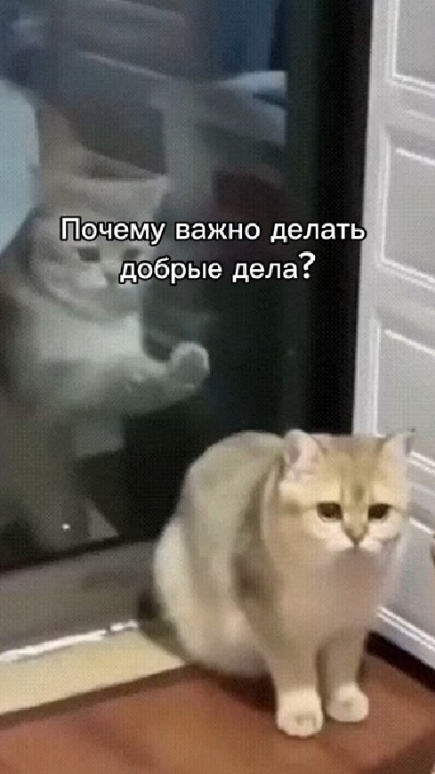 Почему важно делать добрые дела?