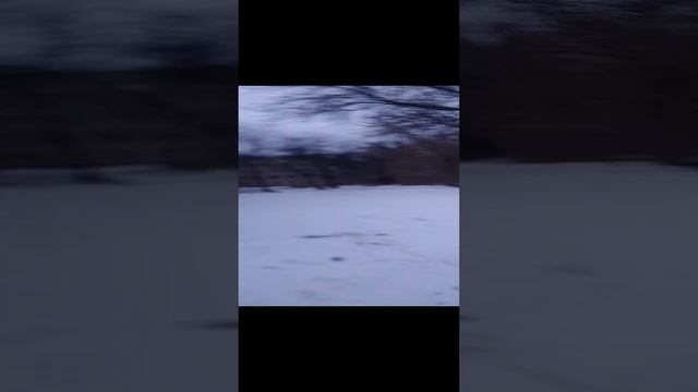 психика