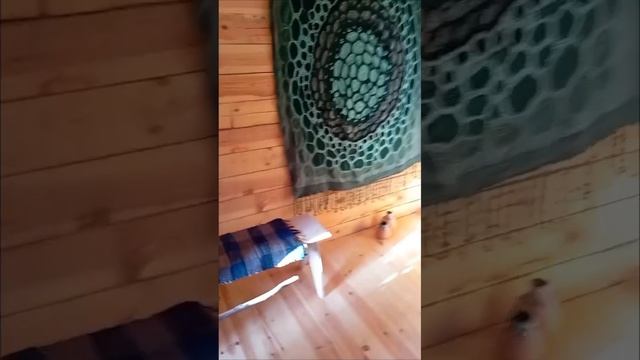 Плед Зелёный космос. Ковёр. Ручное вязание крючком.
