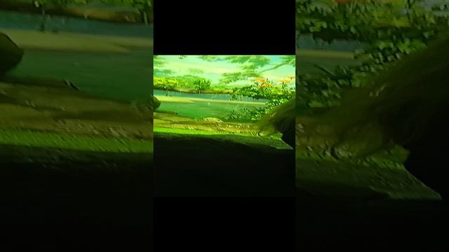 VID_20241116_191103.mp4
