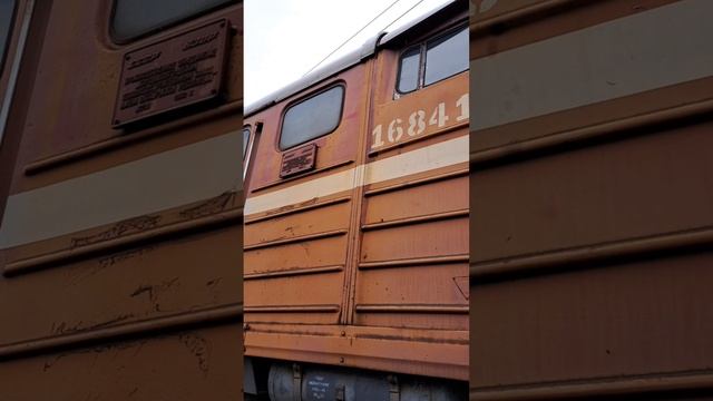 поезд призрак в Краснодаре