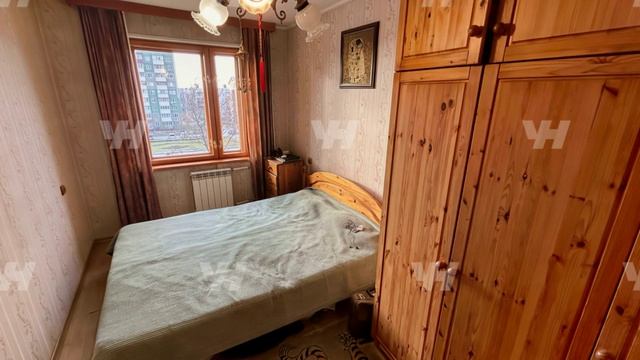 Мира 243
