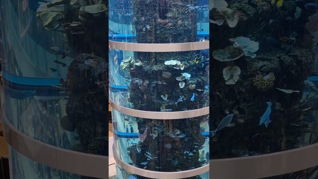 Прогулка по тц Авиапарк