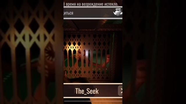 win.mp4