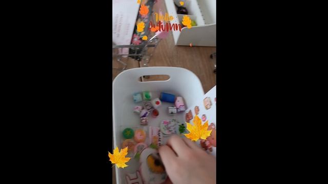 новый заказ.