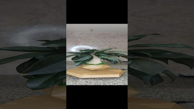 1000095135.mp4