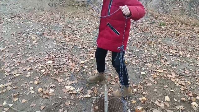 схрон на дереве от животных навык выживания #5