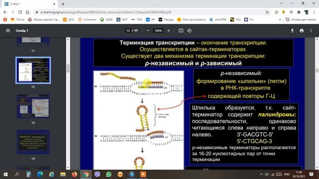 Терминация транскрипции