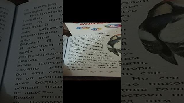 Бемби Феликс Залкин