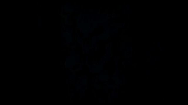 Phase 50 Million.mp4