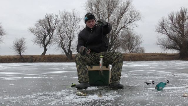 Эти хищники вылетают из лунки один за другим Зимняя рыбалка в Астрахани 2020