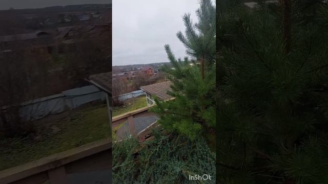 придомовая территория шикарного дома