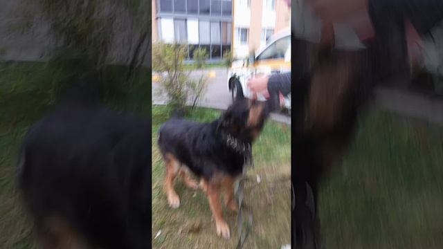 1000001483.mp4