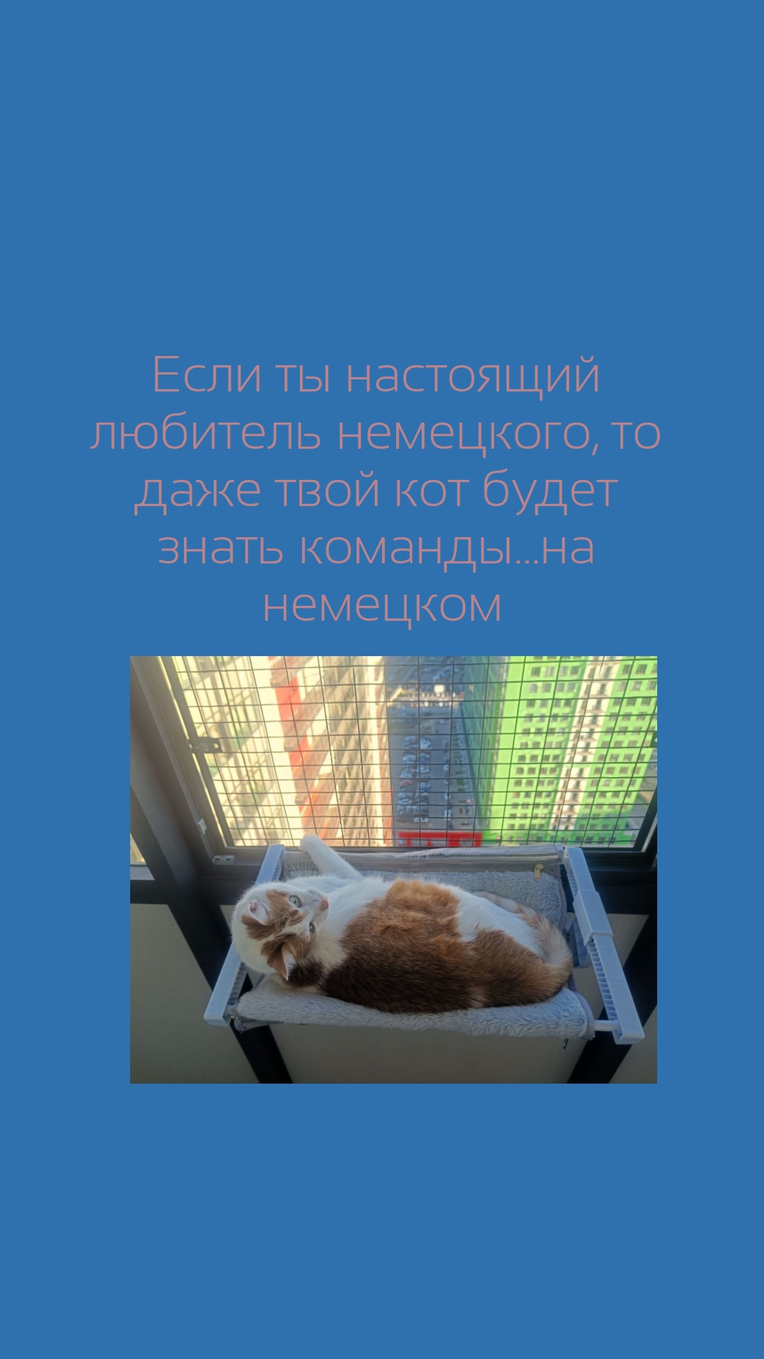 Команды на немецком