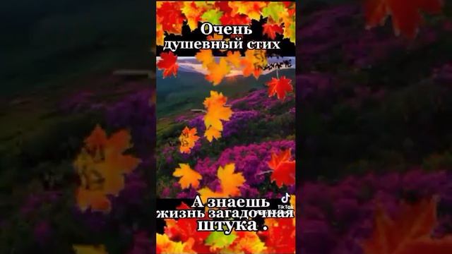 Жизнь загадочная штука