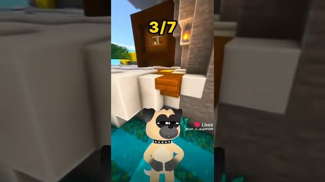 Like_7433695242792988883.mp4