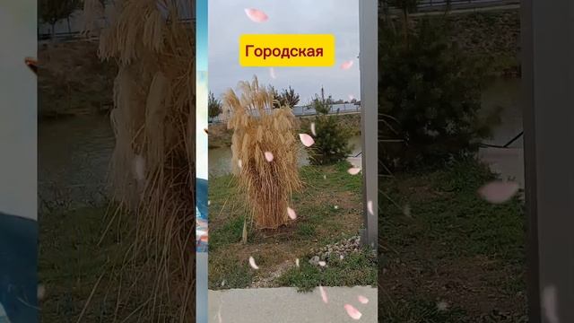 Какая она Осень