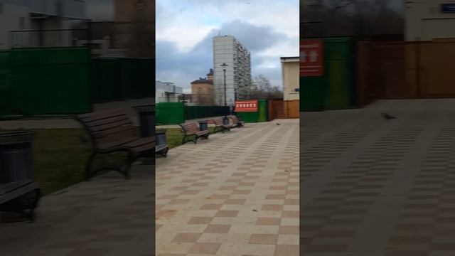 Амбулаторный пруд