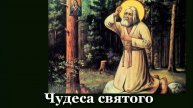 Чудеса св. Серафима Саровского